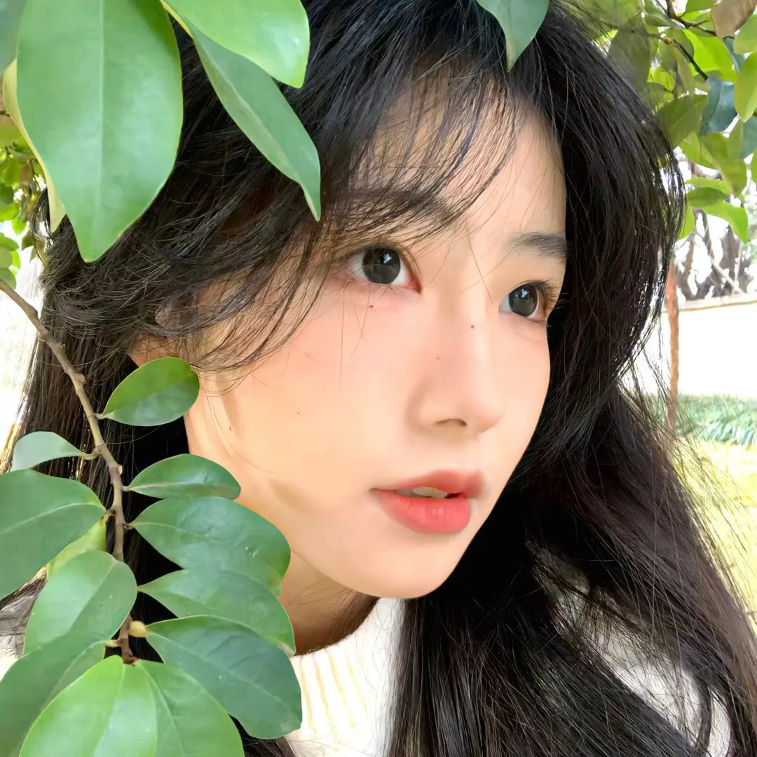 小闯横莱坞