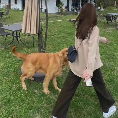 女机械人